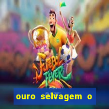 ouro selvagem o que aconteceu na vida